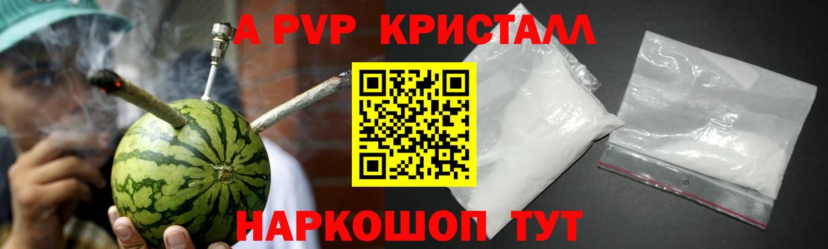 Alfa_PVP СК КРИС  Вход с VPN  Alfa_PVP крисы CK  Тверь 