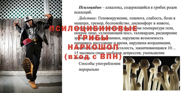 гашик Алексеевка
