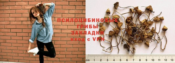 синтетический гашиш Алексин