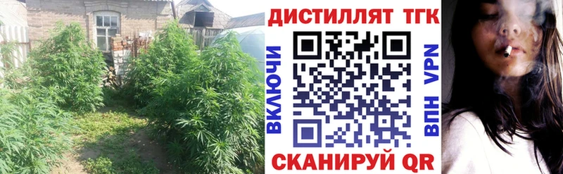 Дистиллят ТГК концентрат  закладки  Тверь 