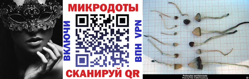 Псилоцибиновые грибы GOLDEN TEACHER  Тверь 