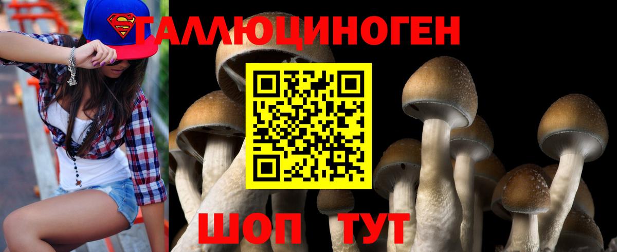 Галлюциногенные грибы Cubensis  Вход с VPN  Тверь 